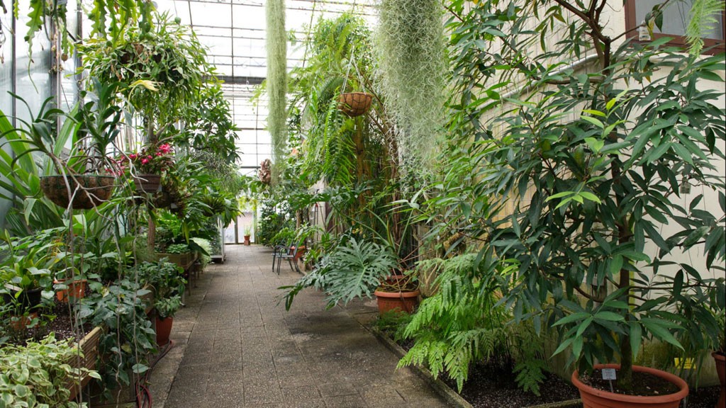 Botanischer Garten der Saar-Uni
