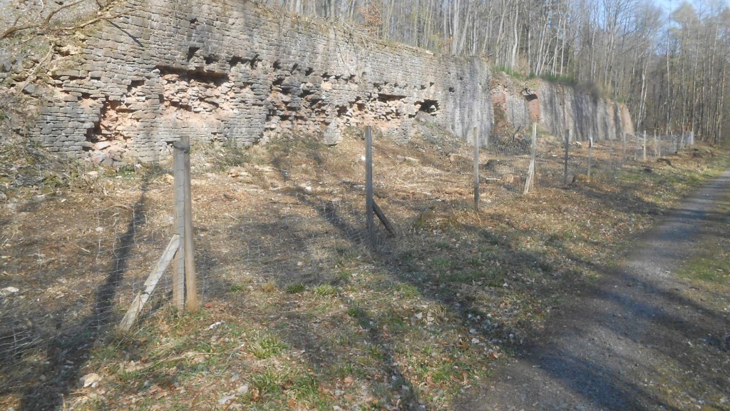 Wandern über das „Consolidierte Nordfeld“ (Foto: Christoph Missy)