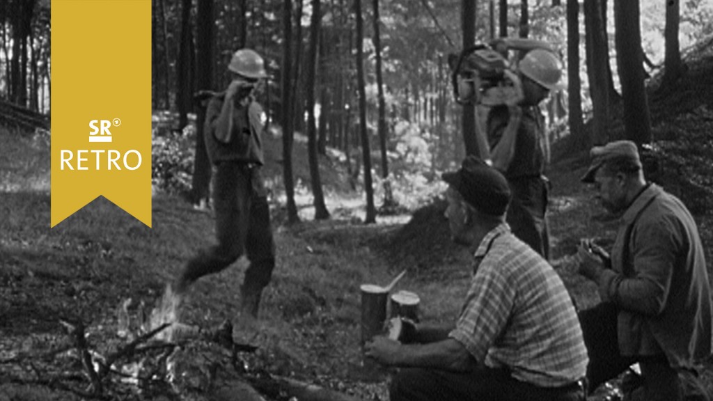 Foto: Gang durchs Revier: Menschen im Wald