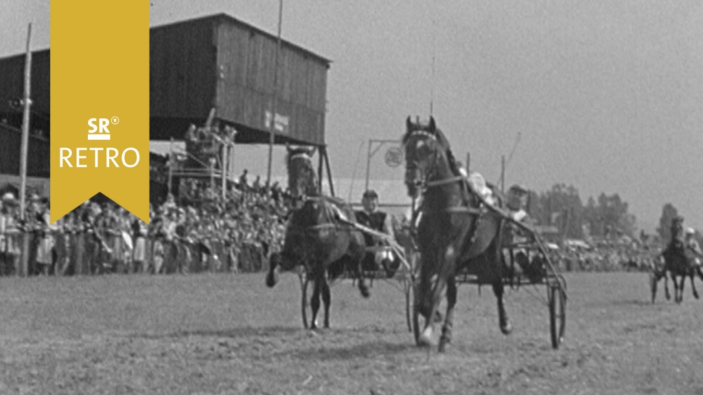 Foto: Pferdesport. Pferderennen in Blieskastel-Webenheim beim Bauernfest