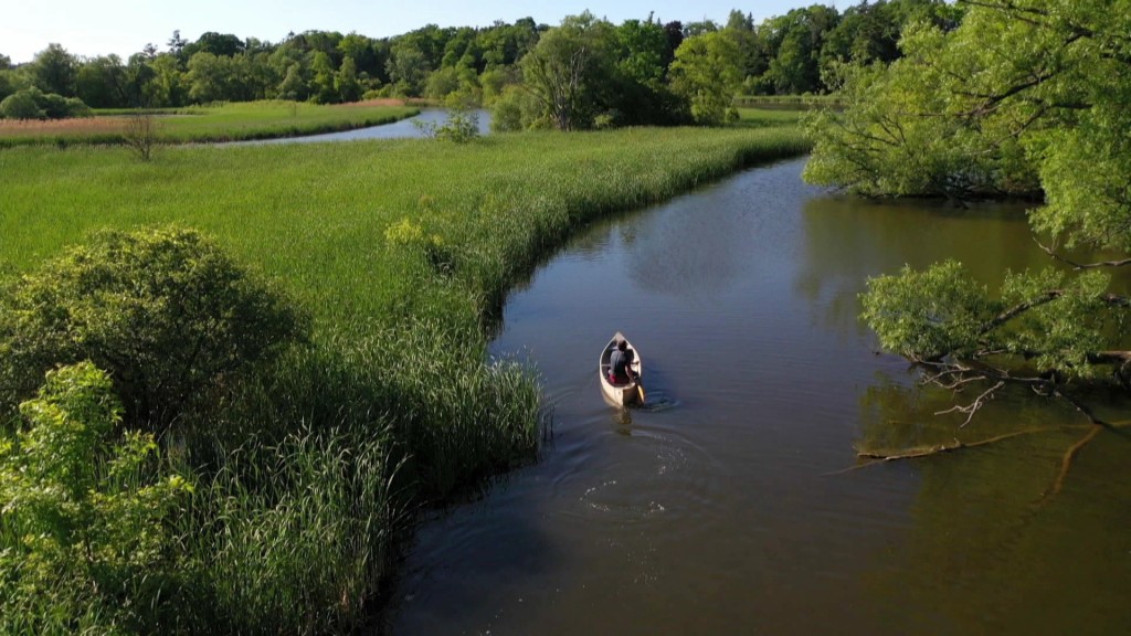 Foto: Nationalpark in Toronto, Kanada