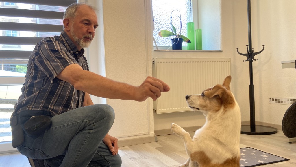 Rüdiger Kramer und sein Hund Toby trainieren