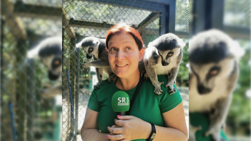 SR 3-Reporterin Julia Marlene Becker-Maleska mit Kattas im Saarbrücker Zoo