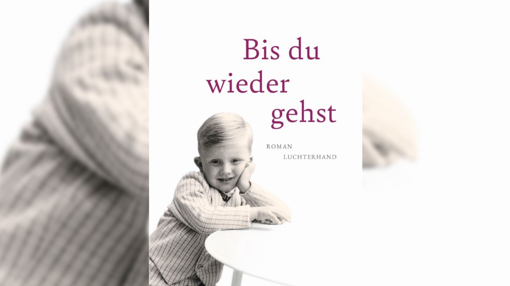 Buch-Cover: Peter Henning - Bis du wieder gehst