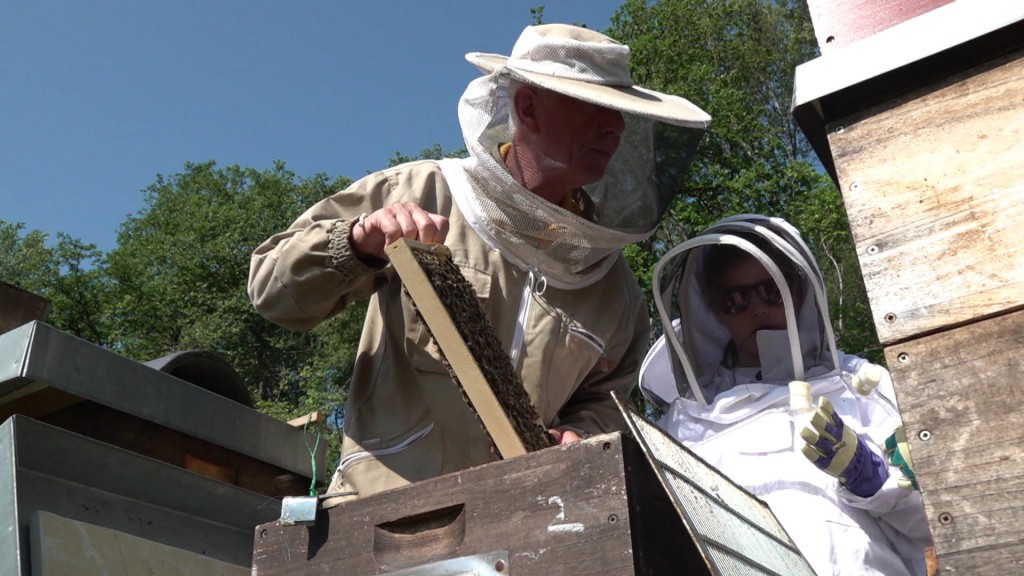 Foto: Ein Grundschulkind und ein Imker stehen an einem Bienenstock.