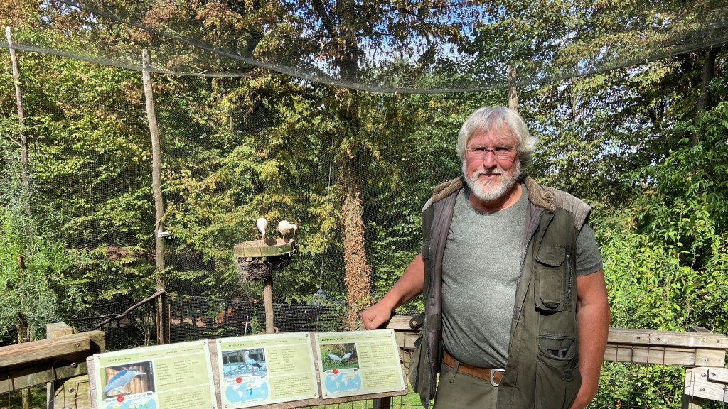 Norbert Fritsch mit dem Storchenpaar im Neunkircher Zoo