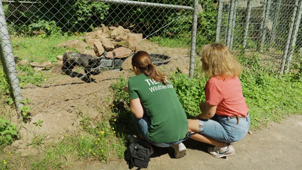 Foto: Simin und eine Pflegerin der TIERART am Fuchsgehege 