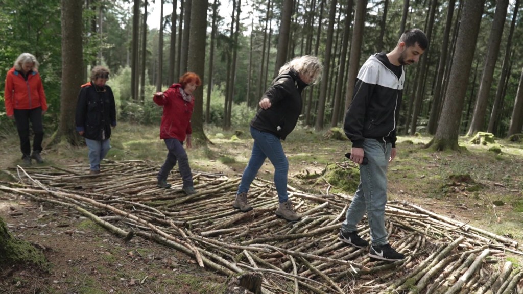 Foto: Menschen spazieren durch den Wald