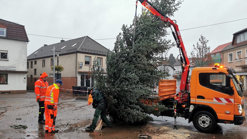 Ein Weihnachtsbaum für Marpingen