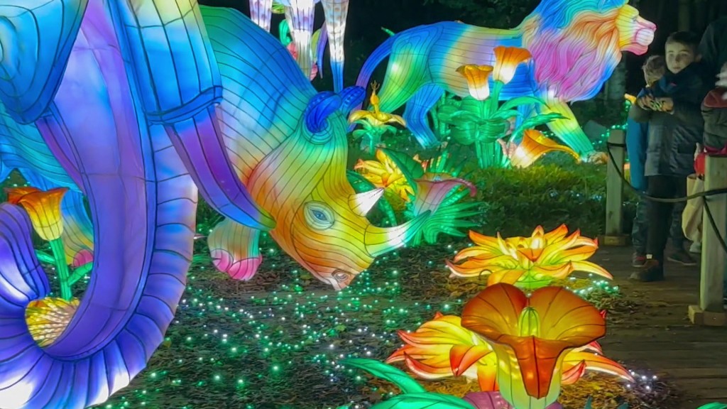 Foto: Lichtshow im Zoo Amnéville