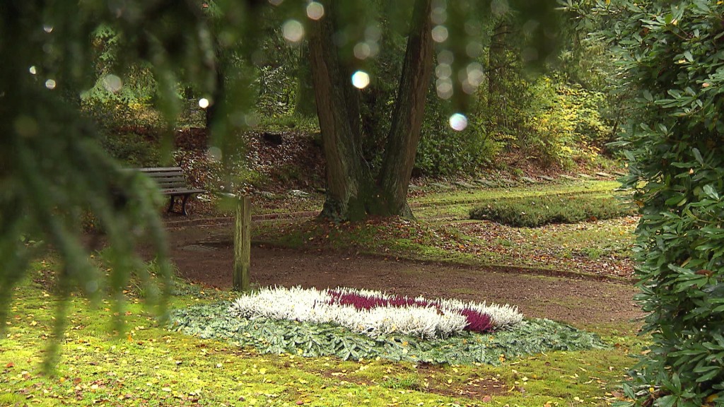 Foto: Der Waldfriedhof in Burbach