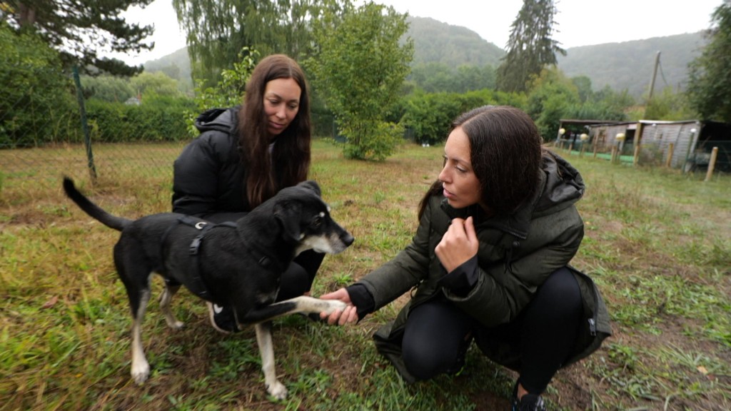 Foto: Betreuerinnen des Caesar's Animal Club mit einem kleinen Hund 