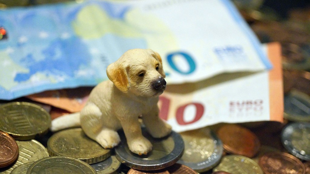 Eine kleine Hundefigur steht auf Münzen und Geldscheinen