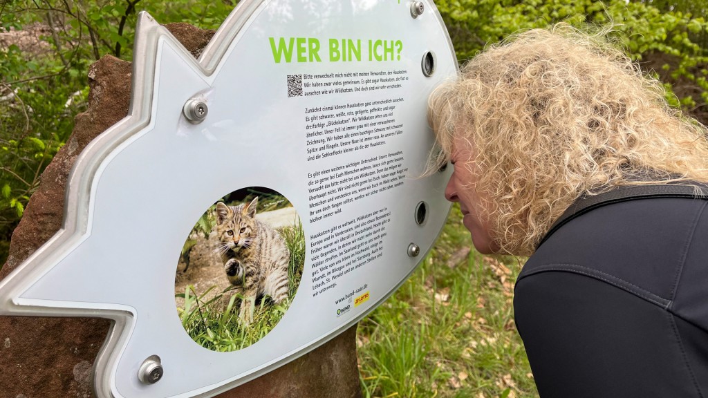 Infotafel dem Wildkatzen-Erlebnispfad in Weiskirchen