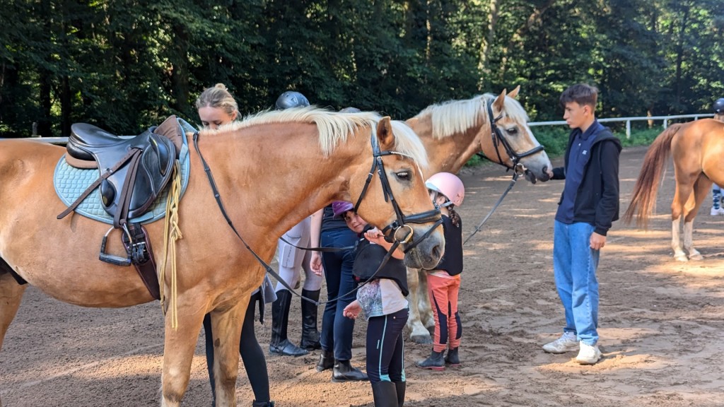 Reiten auf dem Hofgut Both