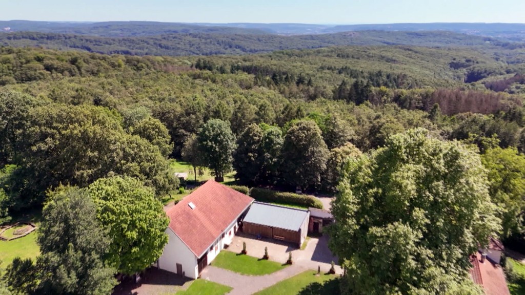 Foto: Der Wald um das Forsthaus Neuhaus bei Saarbrücken