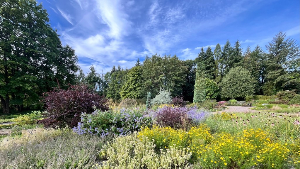 Der Kiesgarten in Merzig