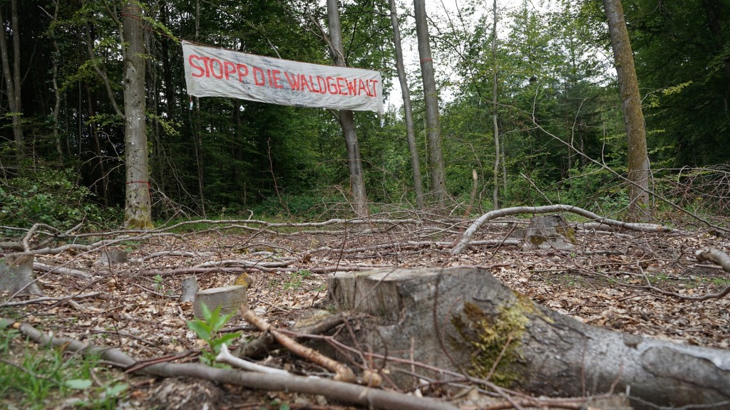 Protest gegen Rodung des St. Johanner Stadtwaldes: „Hanni bleibt“