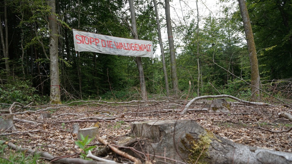 Protest gegen Rodung des St. Johanner Stadtwaldes: „Hanni bleibt“