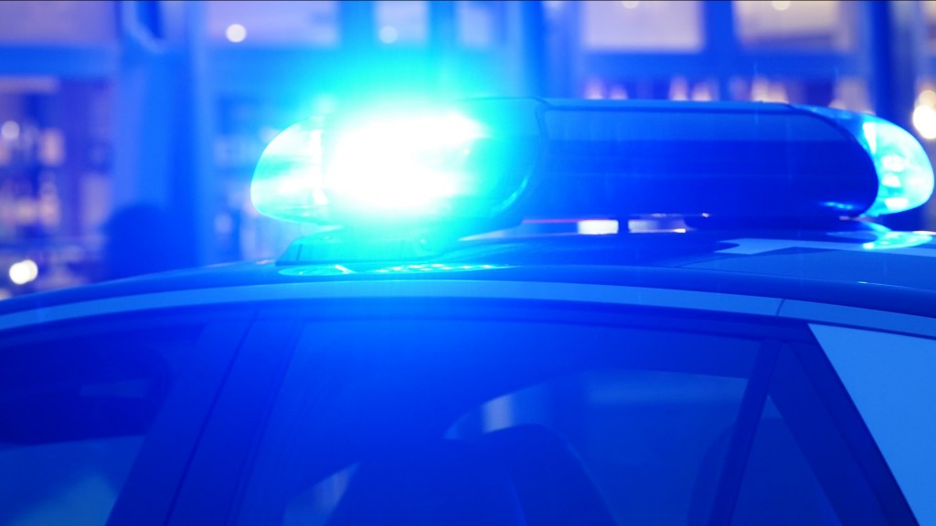 Foto:Ein Blaulicht leuchtet auf dem Dach eines Polizeiautos