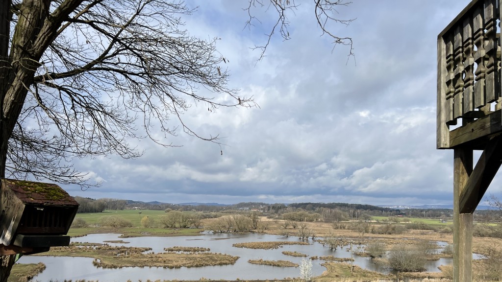 Blick über das Biotop in Beeden