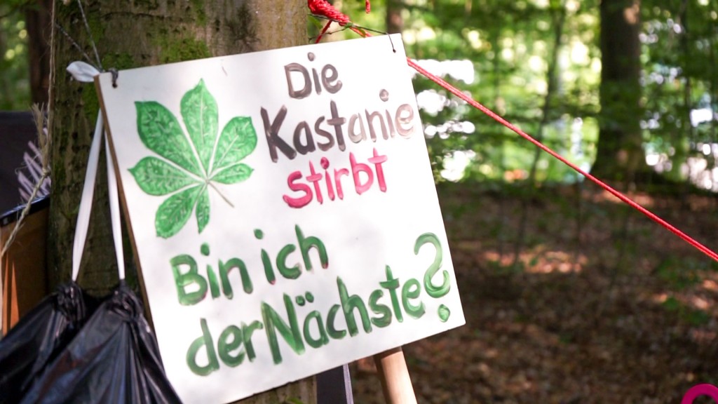 Foto: Ein Schild n einem Baum 