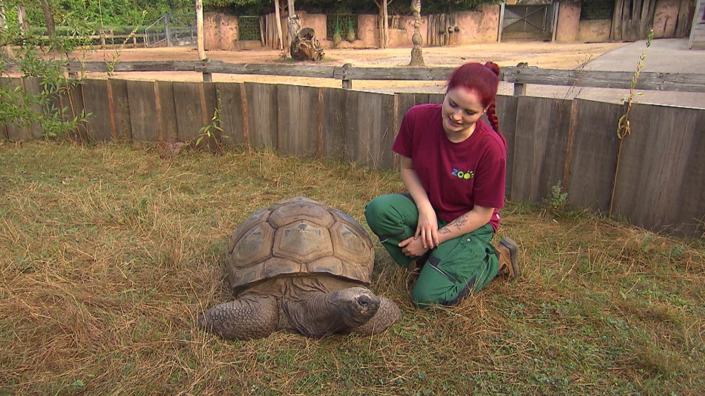 Foto: Tierpflegerin Jana Lieblangs mit Schildkröte Harald