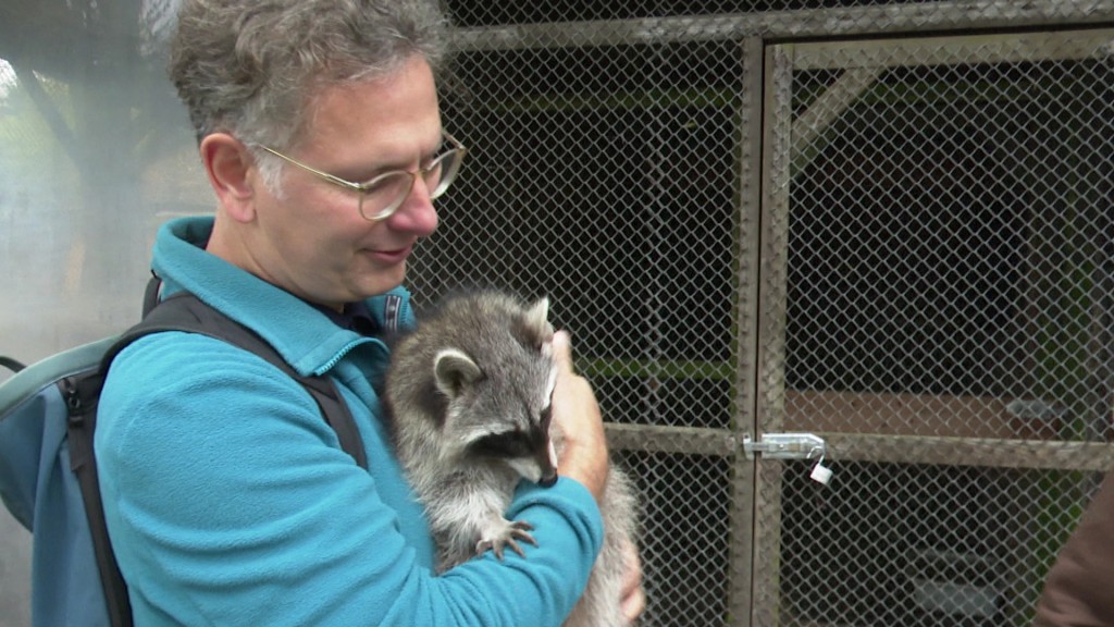 Foto: Michael Friemel mit Waschbär