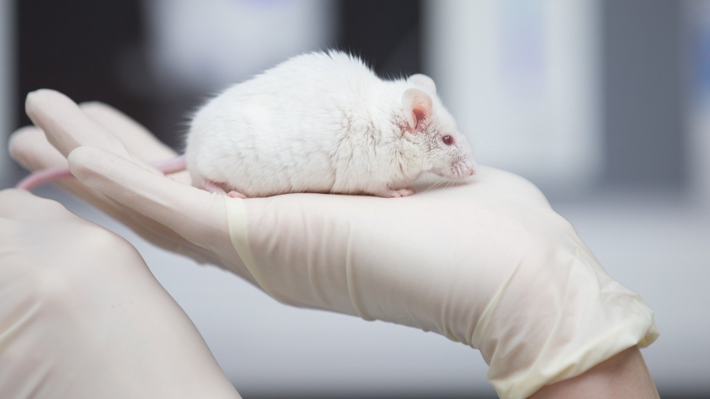 Eine wissenschaftliche Mitarbeiterin einer tierexperimentellen Forschungseinrichtung hat eine Maus in der Hand