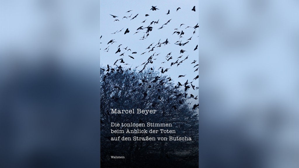 Buchcover: Marcel Beyer 