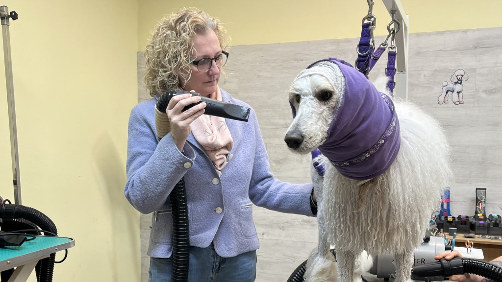 GuMo Mobil beim Hundefriseur