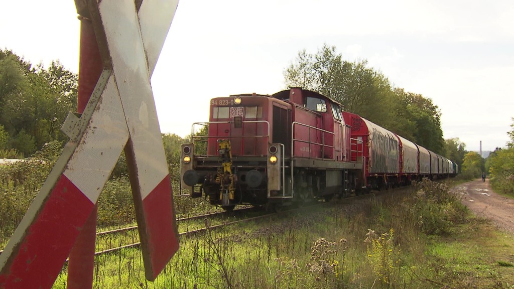 Foto: Ein Zug fährt über die Schienen, vorbei an einem Andreaskreuz.