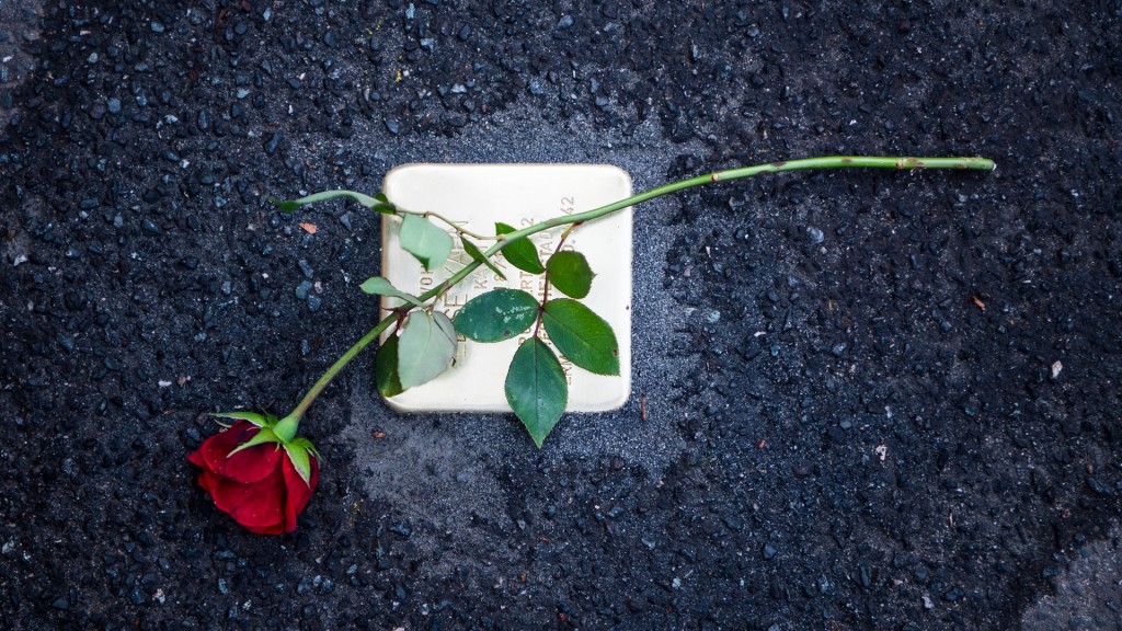 Rose liegt auf Stolperstein