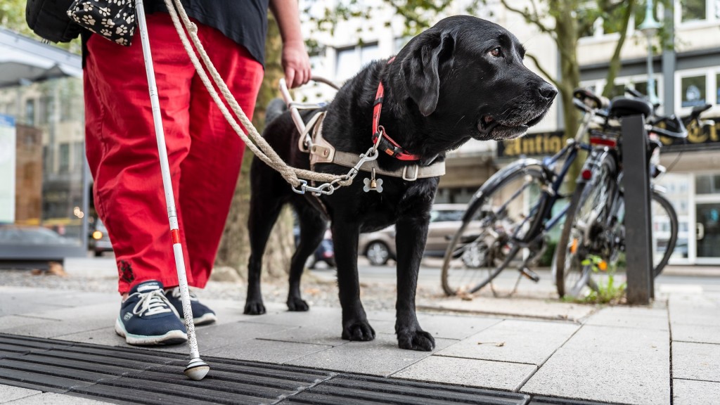 Frau mit Blindenhund