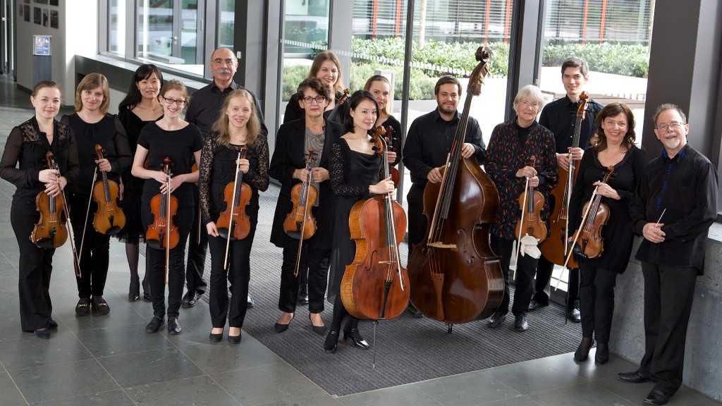 Das Kammerorchester Ricercare