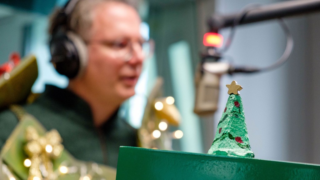 SR 3 Tannenstudio mit Tannenfriemel