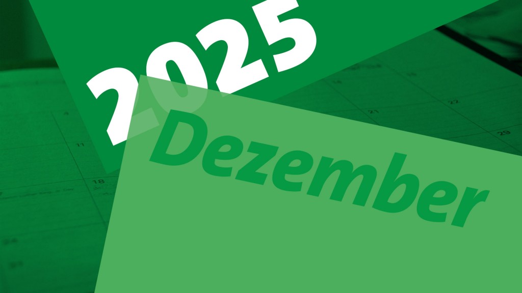 Jahresrückblick Dezember 2025