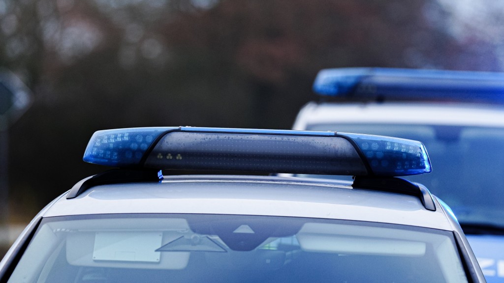 Mehrere Polizeifahrzeuge mit Blaulicht stehen an einer Straße.