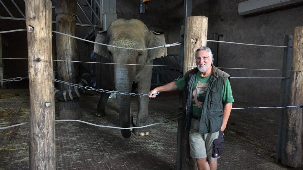 Zoodirektor Norbert Fritsch