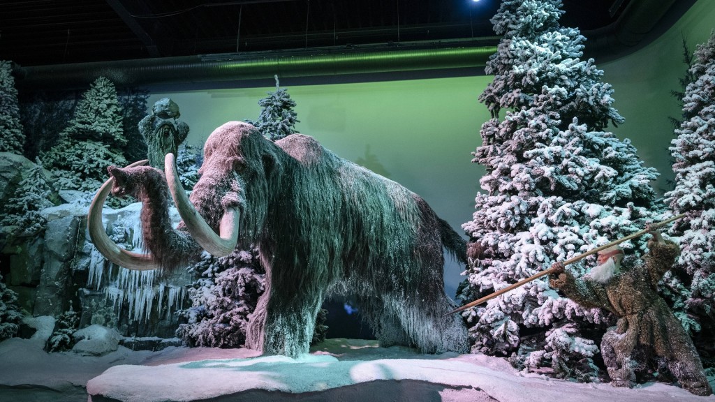 Foto: Gondwana-Praehistorium.  Dinosaurier in der Ausstellung.