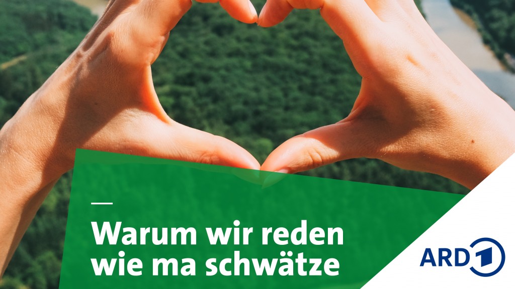 Grafik SR Warum wir so reden