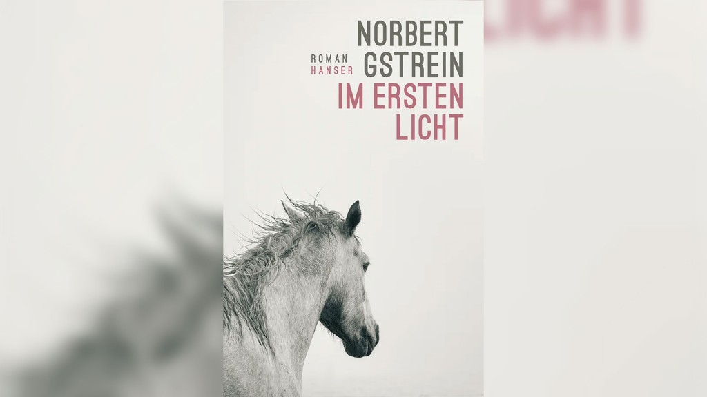 Buchcover: Norbert Gstrein - 
