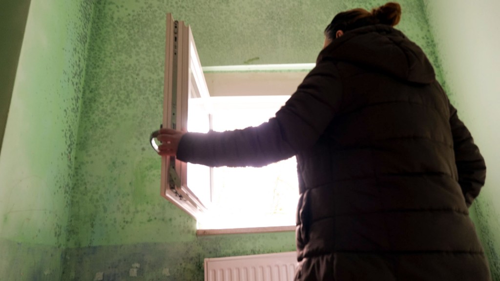 Schwerer Schimmelbefall in einer Völklinger Mietwohnung