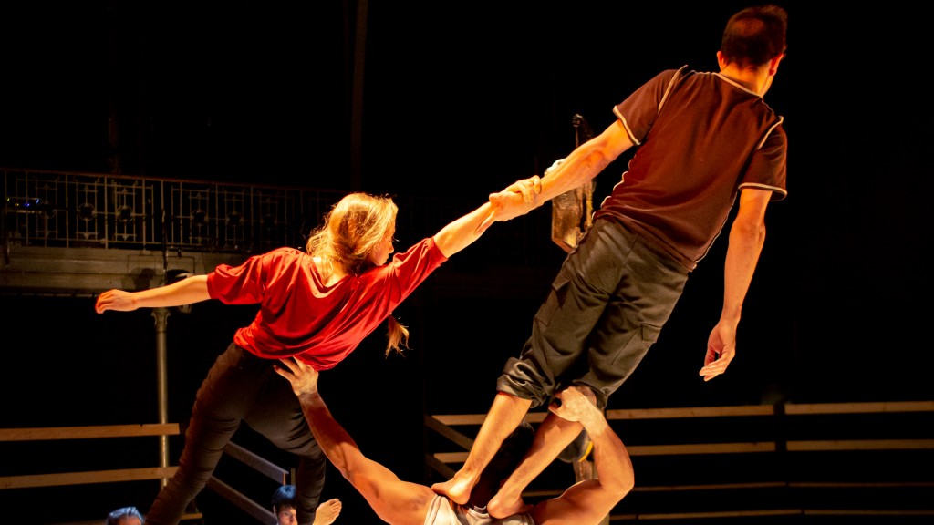 Ausschnitt aus der Vorstellung des Zirkus 