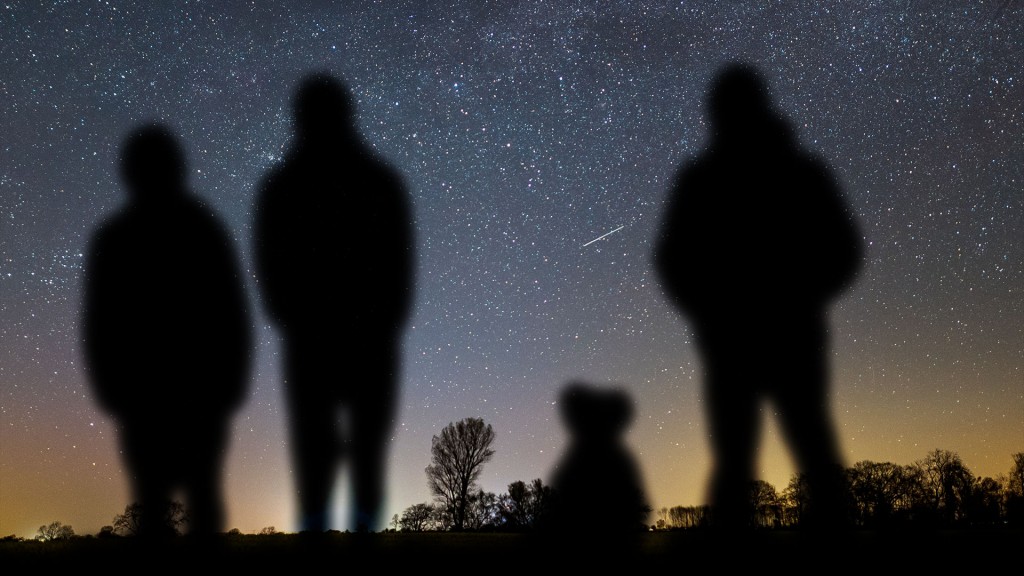 Bildcollage: Menschen und ein Hund beobachten Sternschnuppen am Nachthimmel