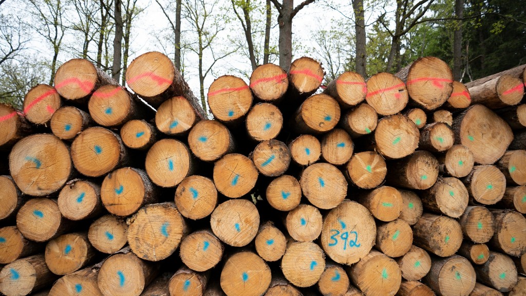 Holzeinschlag. Stapel aus frisch geschlagenen Baumstämmen.