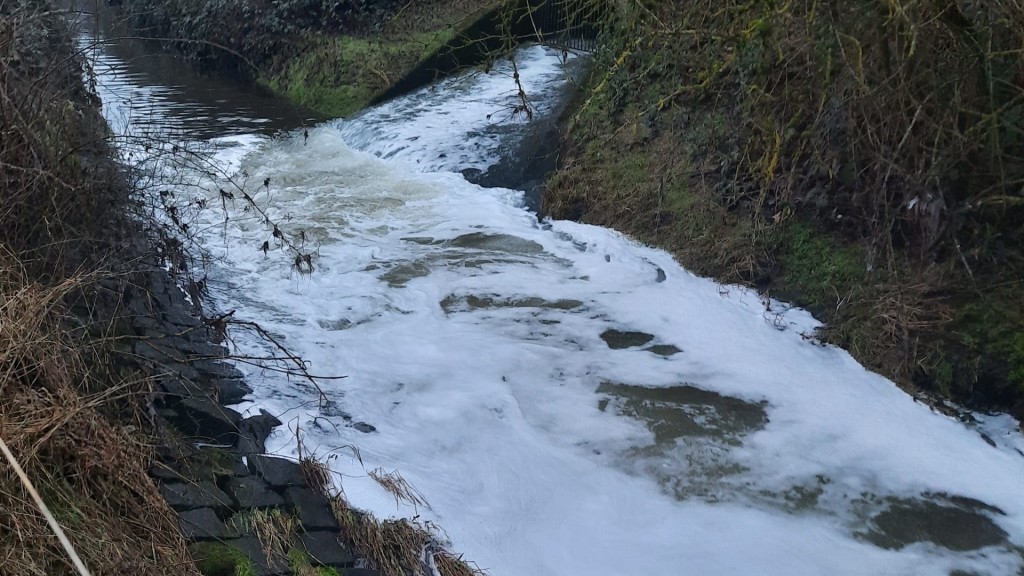 Schaum auf dem Erbach am Zulauf der Kläranlage