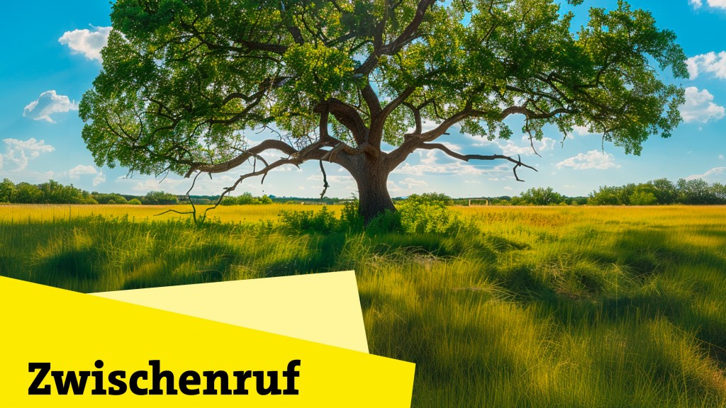 Bild zum Beitrag