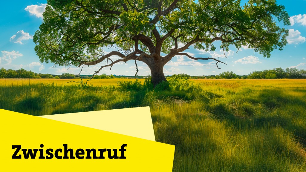 Bild zum Beitrag