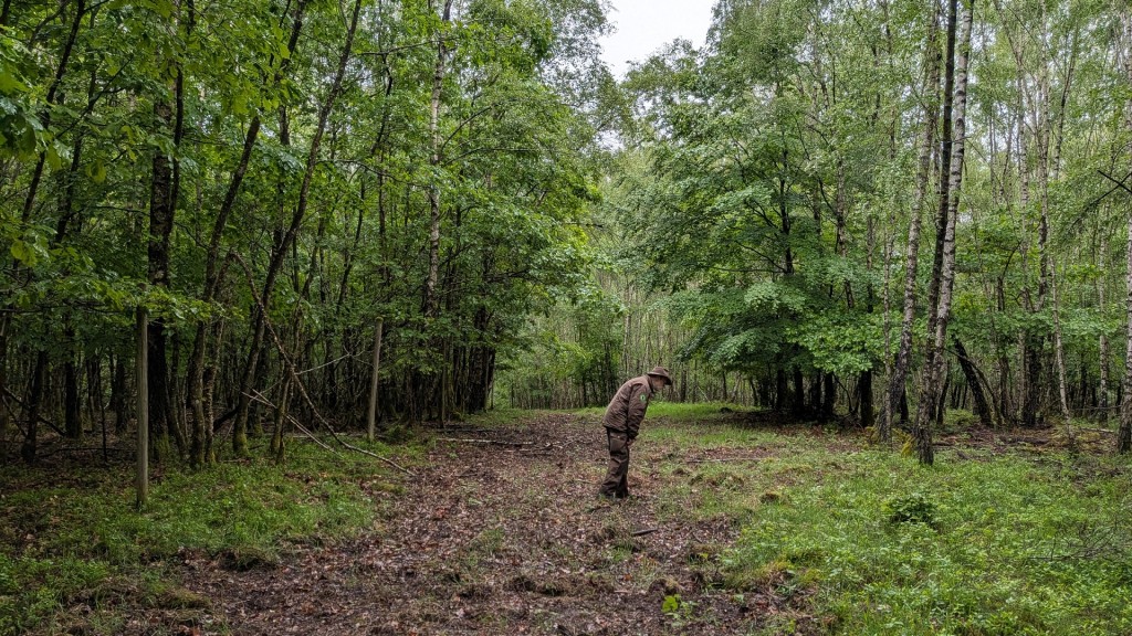 Unterwegs mit dem Wolfsmonitoring-Team Saarland